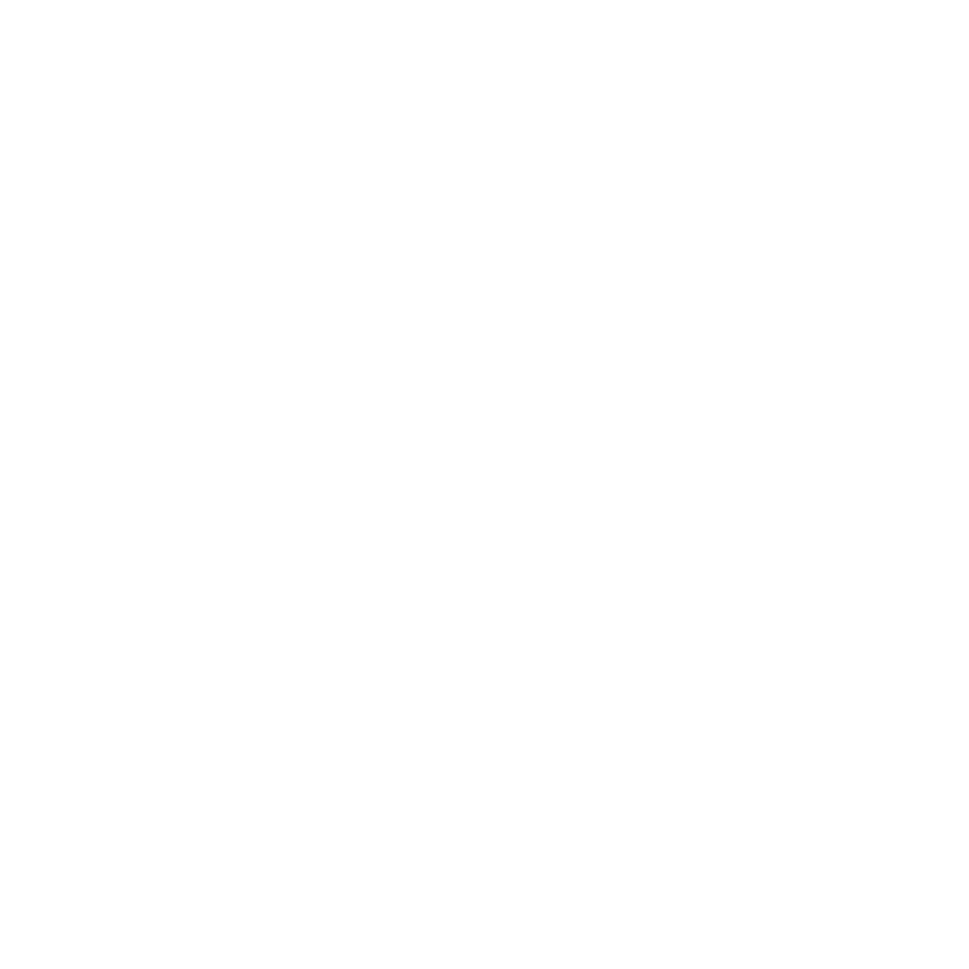 Oval Carabiner