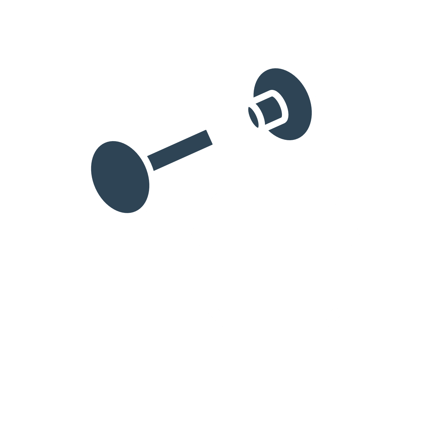 Rivet And Split Ring